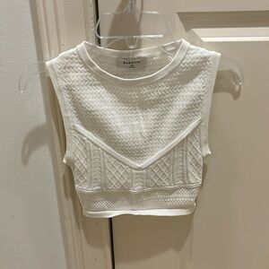 Aritzia Babaton Top